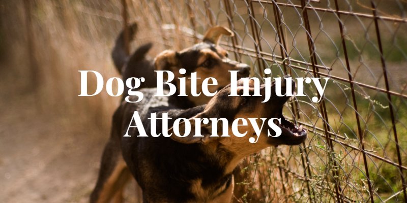 Springfield Dog Bite Lawyer